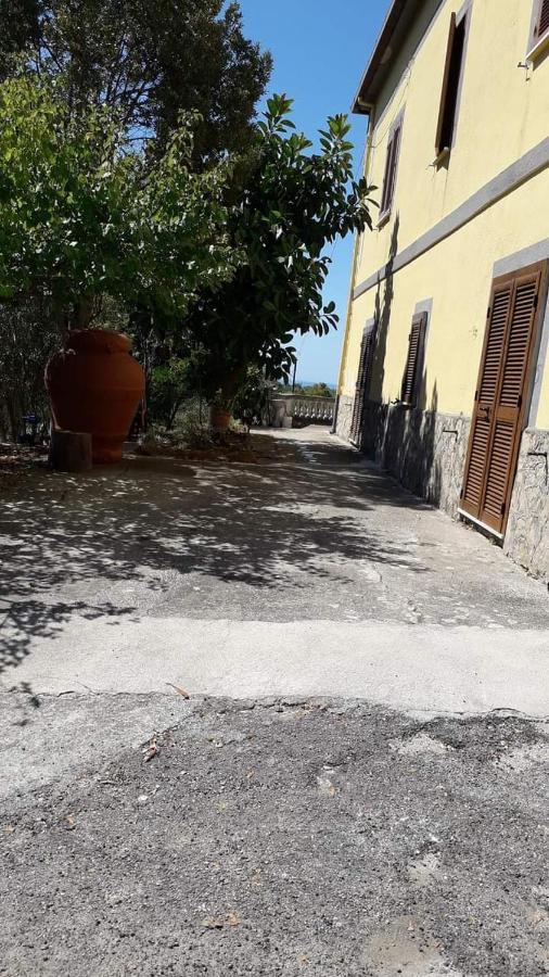 Villa Filomena Montecorice Eksteriør bilde