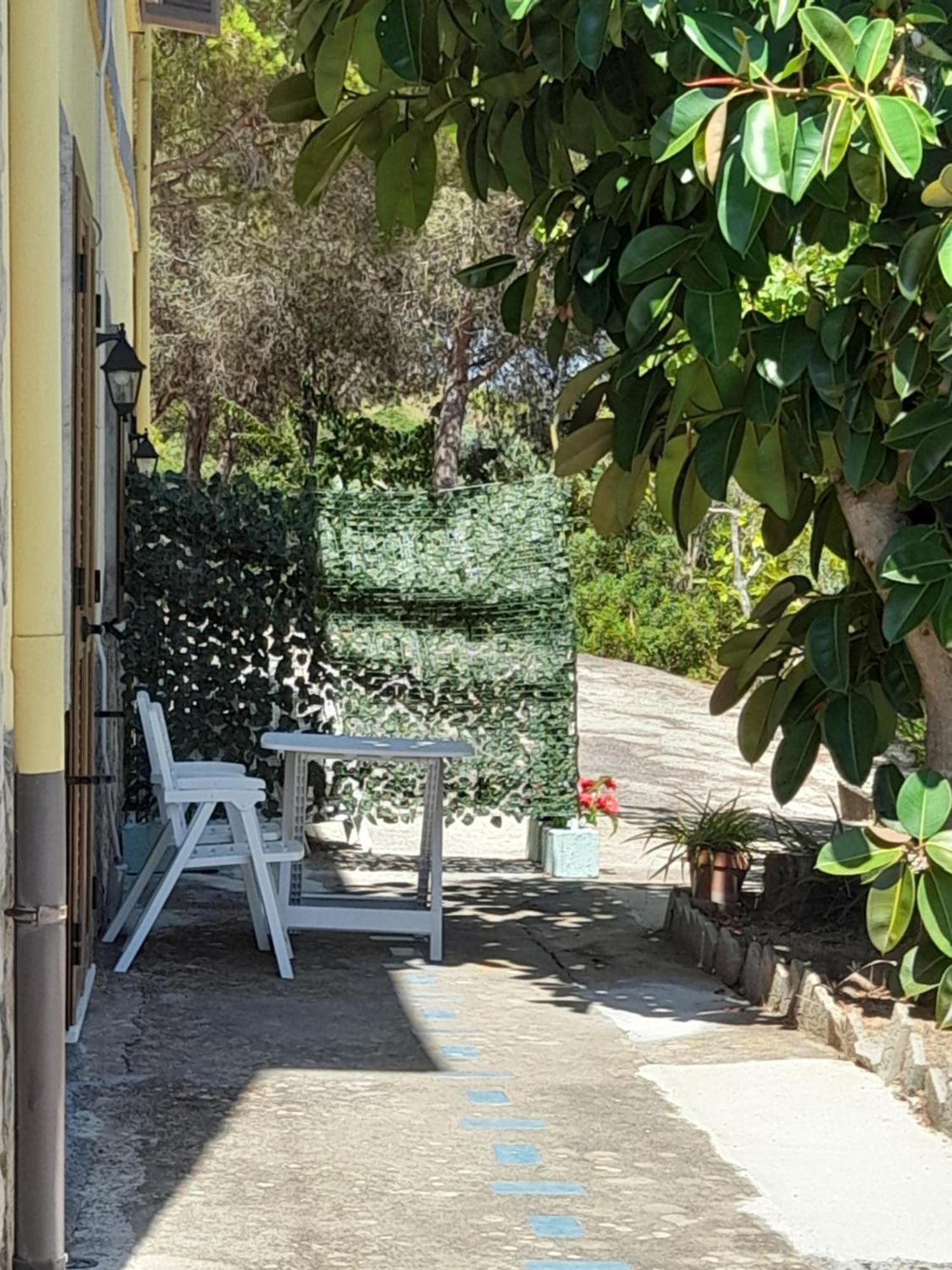 Villa Filomena Montecorice Eksteriør bilde